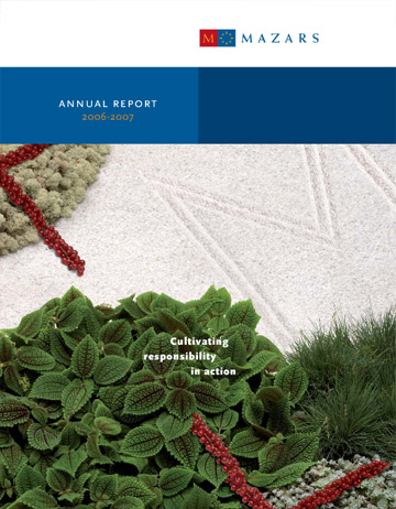 Annual report cover - big